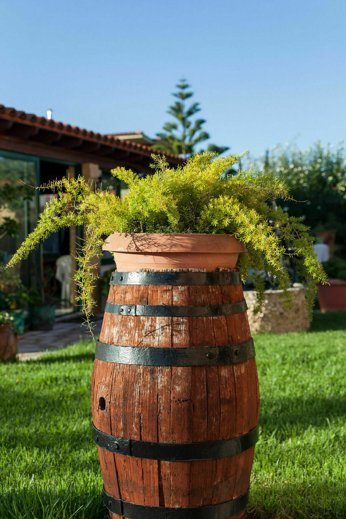 Nikos & Katerina Studios Agios Stefanos Avliotes  Exterior foto